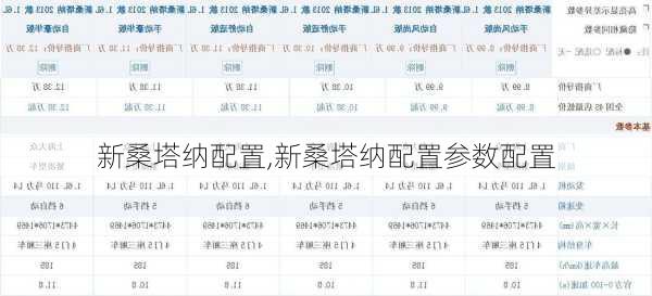 新桑塔纳配置,新桑塔纳配置参数配置