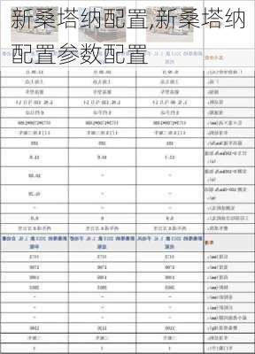 新桑塔纳配置,新桑塔纳配置参数配置