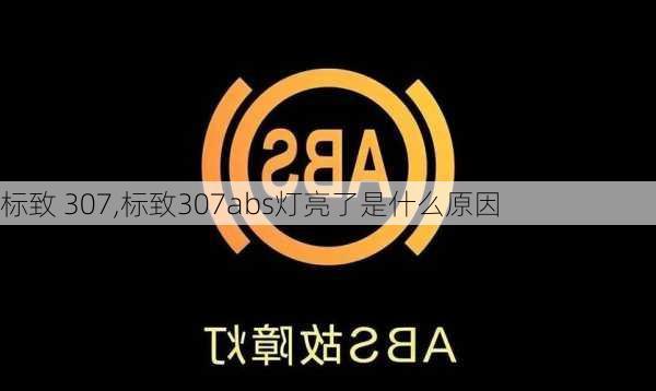 标致 307,标致307abs灯亮了是什么原因