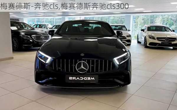 梅赛德斯-奔驰cls,梅赛德斯奔驰cls300