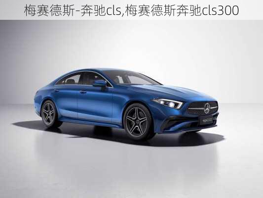 梅赛德斯-奔驰cls,梅赛德斯奔驰cls300