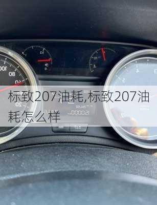 标致207油耗,标致207油耗怎么样