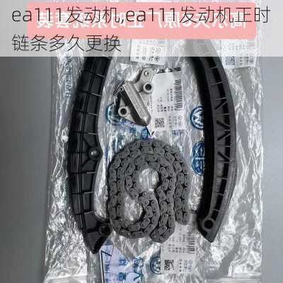 ea111发动机,ea111发动机正时链条多久更换