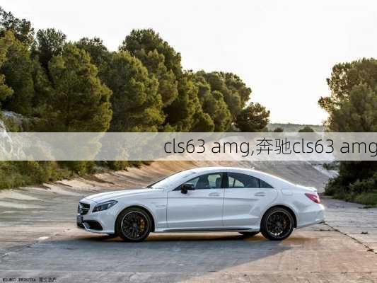 cls63 amg,奔驰cls63 amg