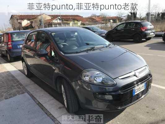 菲亚特punto,菲亚特punto老款