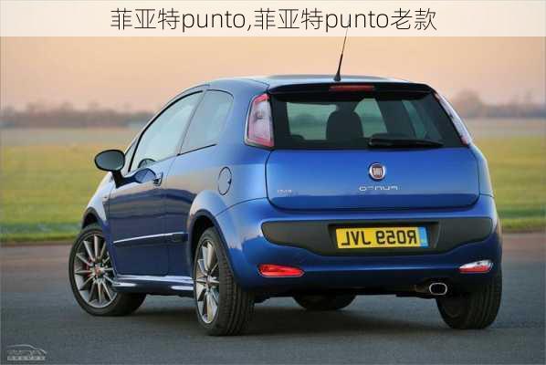 菲亚特punto,菲亚特punto老款