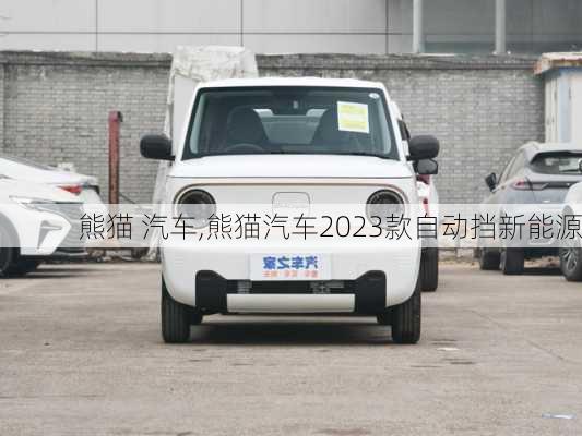 熊猫 汽车,熊猫汽车2023款自动挡新能源