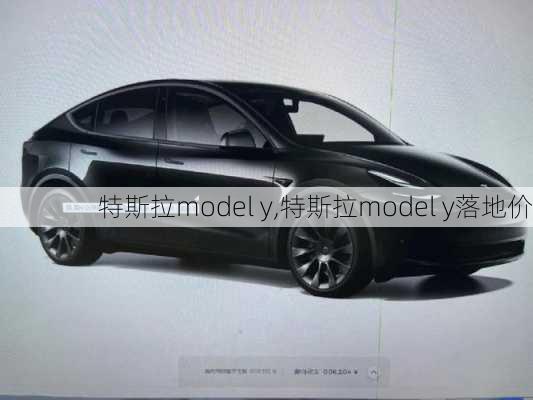 特斯拉model y,特斯拉model y落地价