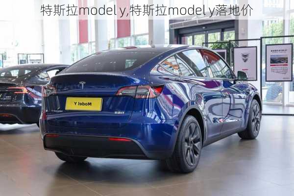 特斯拉model y,特斯拉model y落地价