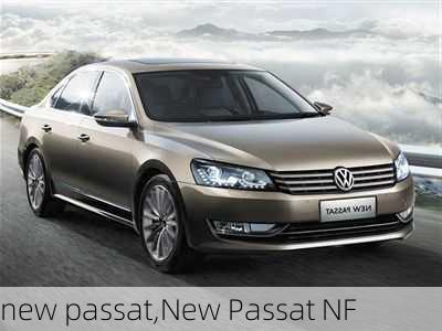 new passat,New Passat NF