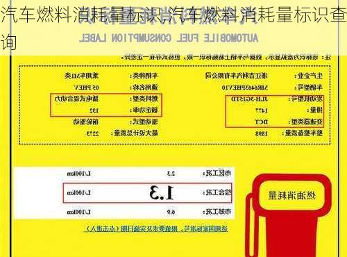 汽车燃料消耗量标识,汽车燃料消耗量标识查询