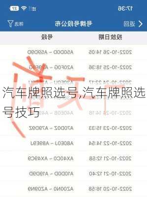 汽车牌照选号,汽车牌照选号技巧