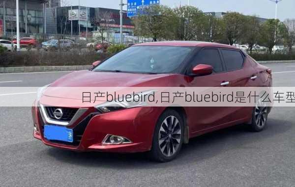 日产bluebird,日产bluebird是什么车型