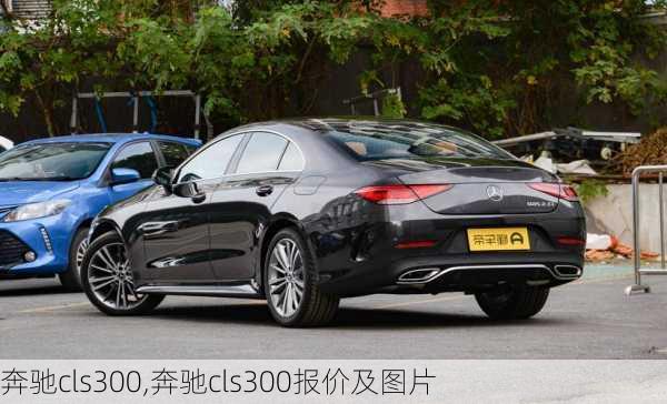 奔驰cls300,奔驰cls300报价及图片