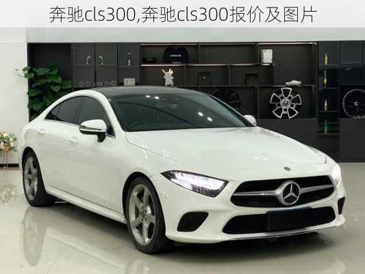 奔驰cls300,奔驰cls300报价及图片