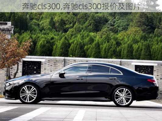 奔驰cls300,奔驰cls300报价及图片