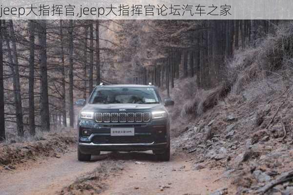 jeep大指挥官,jeep大指挥官论坛汽车之家