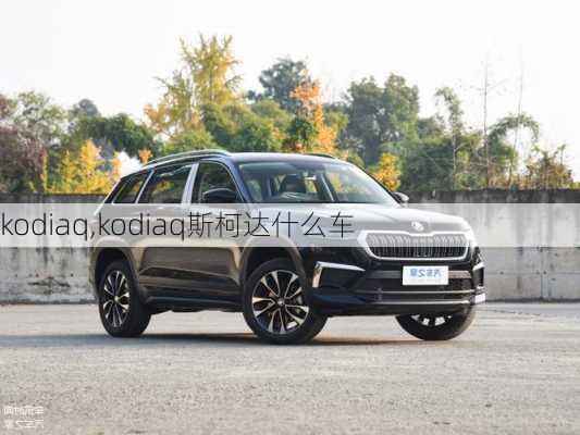 kodiaq,kodiaq斯柯达什么车