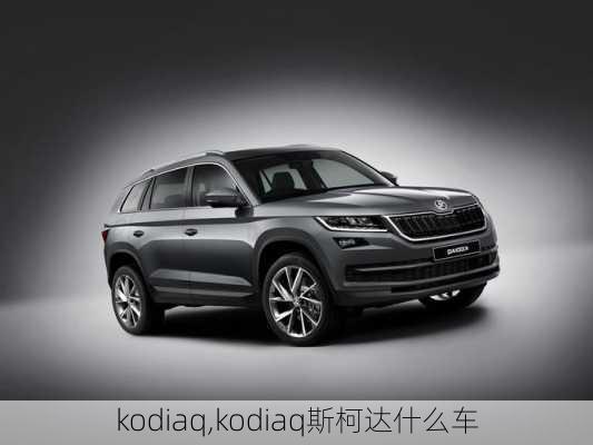 kodiaq,kodiaq斯柯达什么车