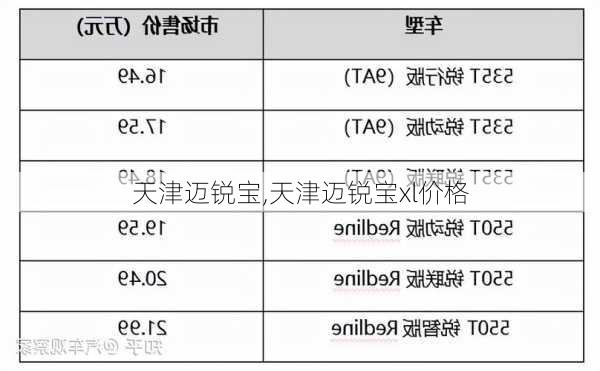 天津迈锐宝,天津迈锐宝xl价格