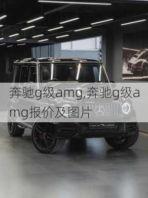 奔驰g级amg,奔驰g级amg报价及图片