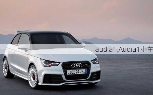 audia1,Audia1小车