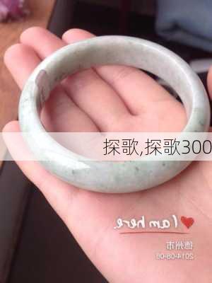 探歌,探歌300