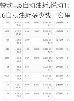 悦动1.6自动油耗,悦动1.6自动油耗多少钱一公里