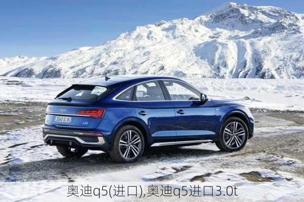 奥迪q5(进口),奥迪q5进口3.0t