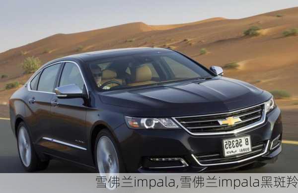 雪佛兰impala,雪佛兰impala黑斑羚