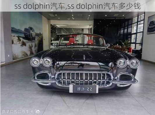 ss dolphin汽车,ss dolphin汽车多少钱