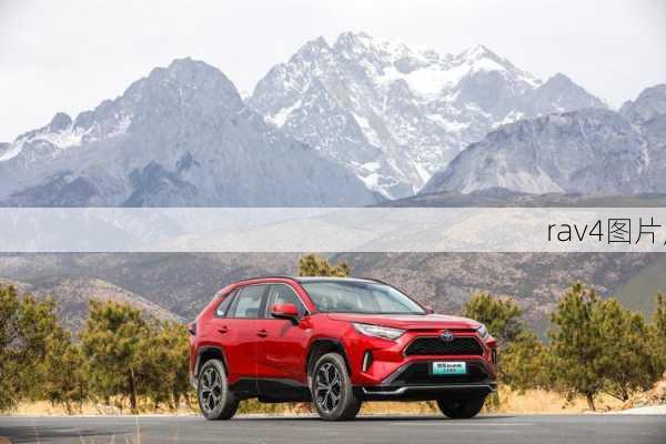 rav4图片,