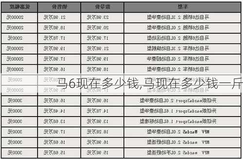 马6现在多少钱,马现在多少钱一斤