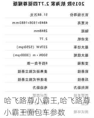 哈飞路尊小霸王,哈飞路尊小霸王面包车参数