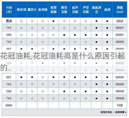 花冠油耗,花冠油耗高是什么原因引起的