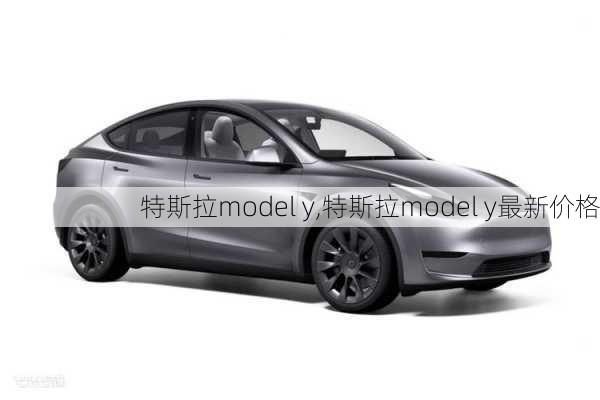 特斯拉model y,特斯拉model y最新价格