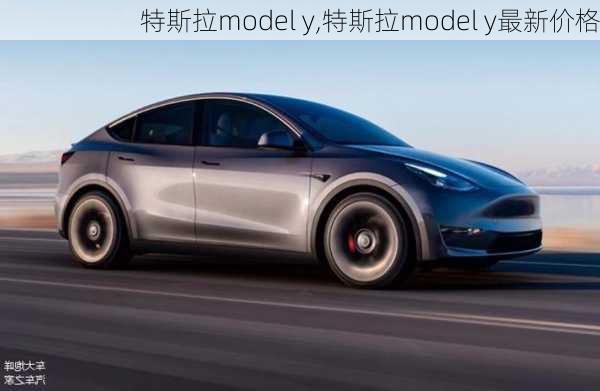 特斯拉model y,特斯拉model y最新价格