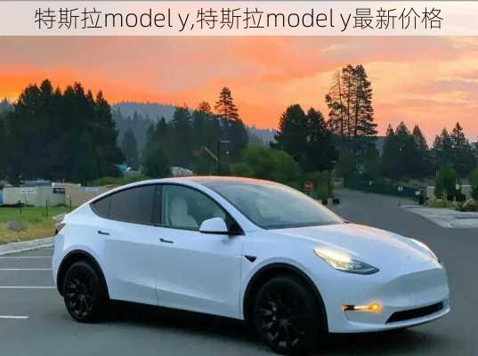 特斯拉model y,特斯拉model y最新价格