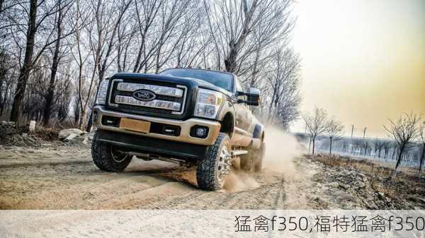 猛禽f350,福特猛禽f350