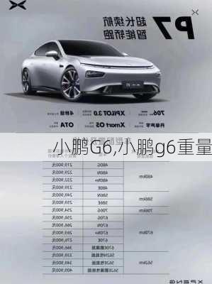 小鹏G6,小鹏g6重量