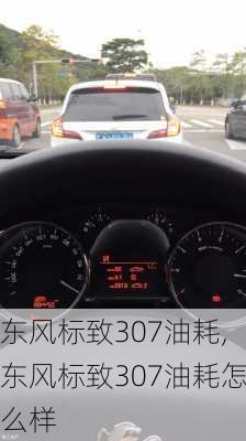 东风标致307油耗,东风标致307油耗怎么样