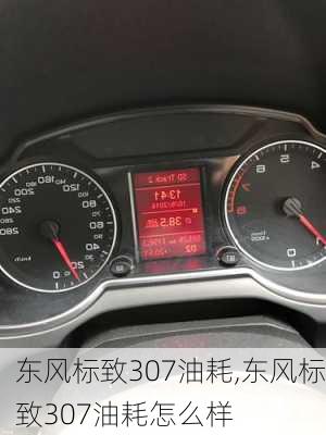 东风标致307油耗,东风标致307油耗怎么样