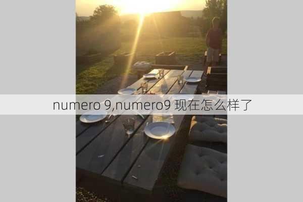 numero 9,numero9 现在怎么样了