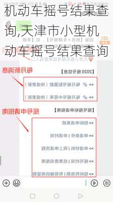机动车摇号结果查询,天津市小型机动车摇号结果查询