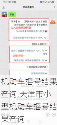 机动车摇号结果查询,天津市小型机动车摇号结果查询