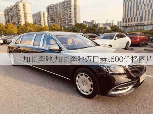 加长奔驰,加长奔驰迈巴赫s600价格图片