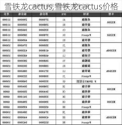 雪铁龙cactus,雪铁龙cactus价格