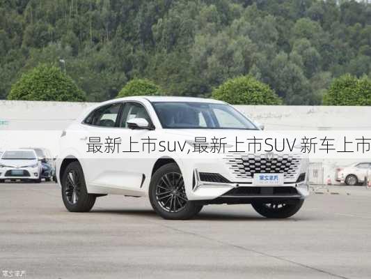 最新上市suv,最新上市SUV 新车上市