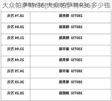 大众帕萨特r36,大众帕萨特R36多少钱