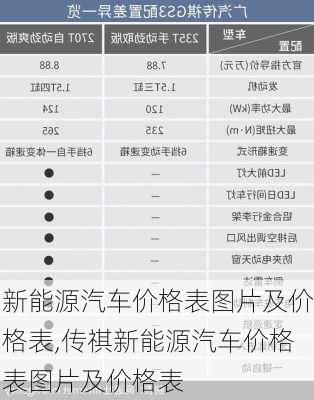 新能源汽车价格表图片及价格表,传祺新能源汽车价格表图片及价格表